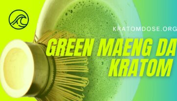 Green Maeng Da Kratom – Effects, Benefits, and Dosage