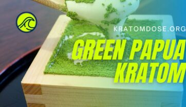 Green Papua Kratom: Dosage and Effects