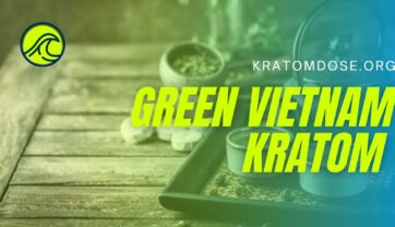Green Vietnam Kratom: Overview, Benefits, and Dosage