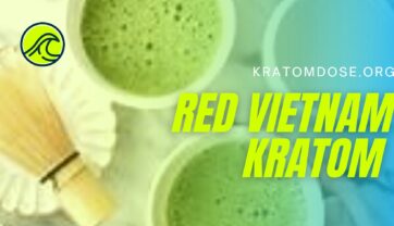 Red Vietnam Kratom