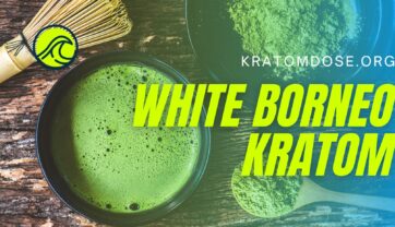 White Borneo Kratom: Uses, Dosage, and Side Effects