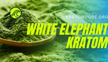 White Elephant Kratom: Benefits, Dosage, and Side Effects