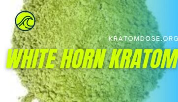 White Horn Kratom: Overview, Benefits, Dosage, and More