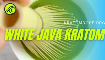 White Java Kratom: Origin, Effects, and Dosage
