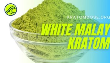 White Malay Kratom: Benefits, Dosage, and Side Effects