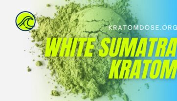 White Sumatra Kratom: Overview, Benefits, and Side Effects