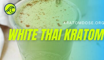 White Thai Kratom: Overview, Benefits, Effects, and Dosage