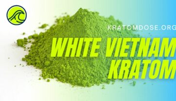 White Vietnam Kratom: Benefits, Overview, Dosage, and Side Effects