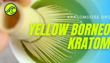 Yellow Borneo Kratom: Overview, Dosage, Benefits, and More