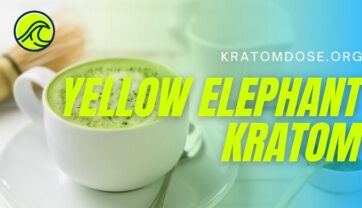 Yellow Elephant Kratom: Dosage, Benefits, and More