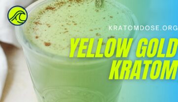Yellow Gold Kratom: Overview, Effects, and Dosage