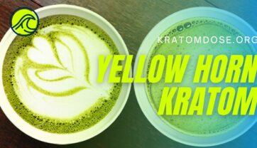 Yellow Horn Kratom: Benefits, Dosage, and More
