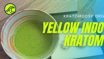 Yellow Indo Kratom: Overview, Benefits, Side Effects, and More