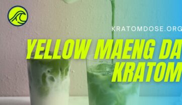 Yellow Maeng da Kratom: Benefits, Dosage, and Side Effects