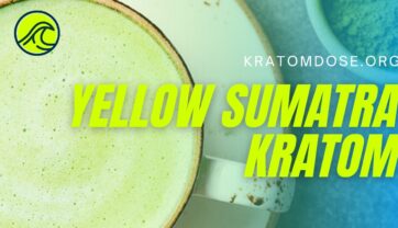 Yellow Sumatra Kratom: Overview, Dosage, Effects, and More