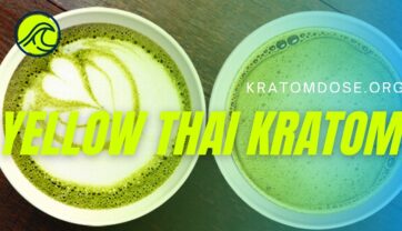 Yellow Thai Kratom: Overview, Effects, Dosage, and More