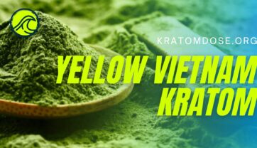 Yellow Vietnam Kratom: Dosage, Benefits, and More